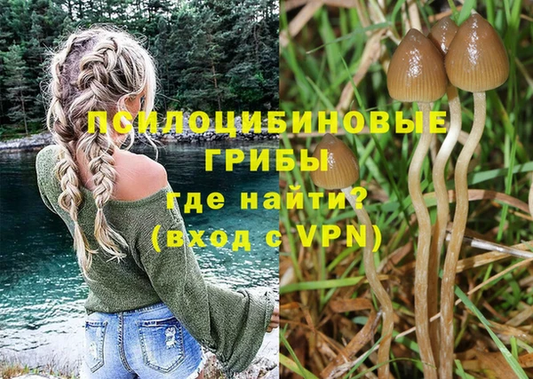 ГАЛЛЮЦИНОГЕННЫЕ ГРИБЫ Белокуриха