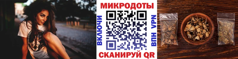 KRAKEN зеркало Сердобск Галлюциногенные грибы MAGIC MUSHROOMS
